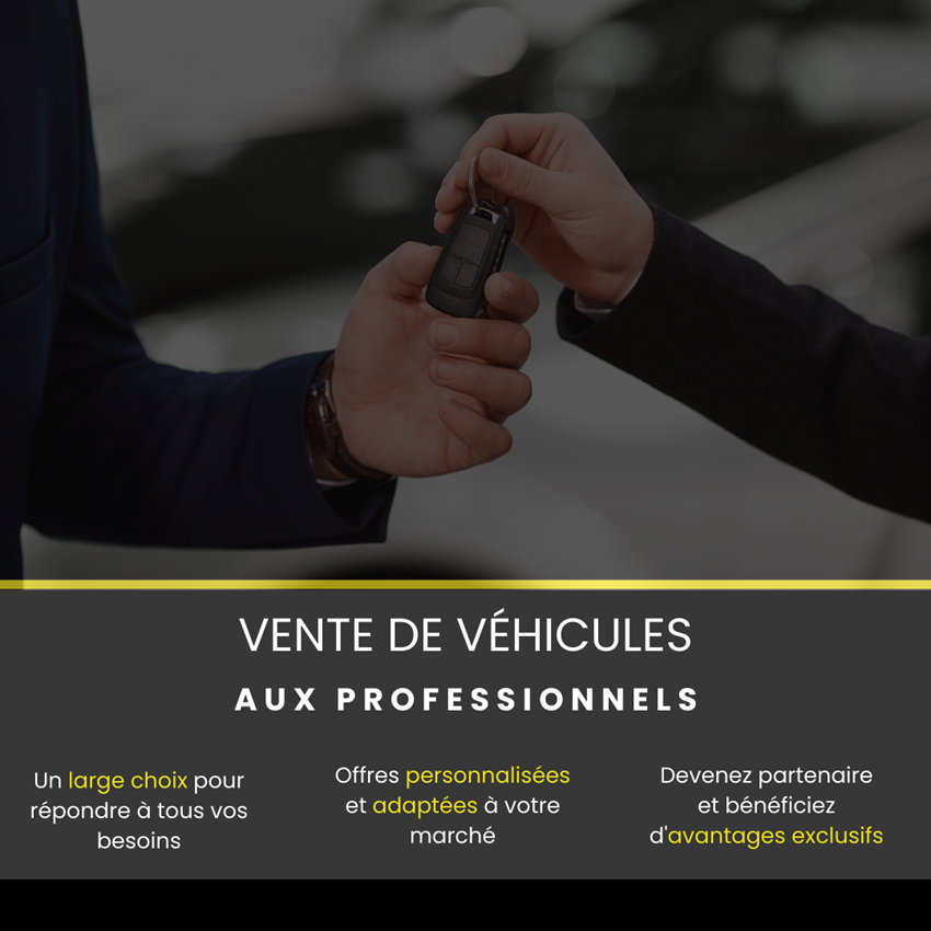 VENTE DE VEHICULES AUX PROFESSIONELS